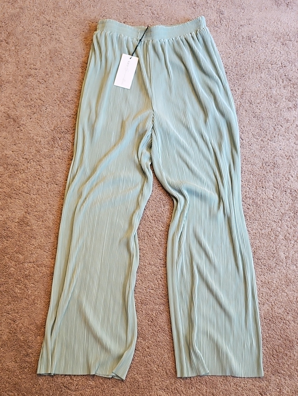 Vici Pleated Wide-Leg Pants in Sage